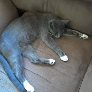 Meet your Posher, Alicia